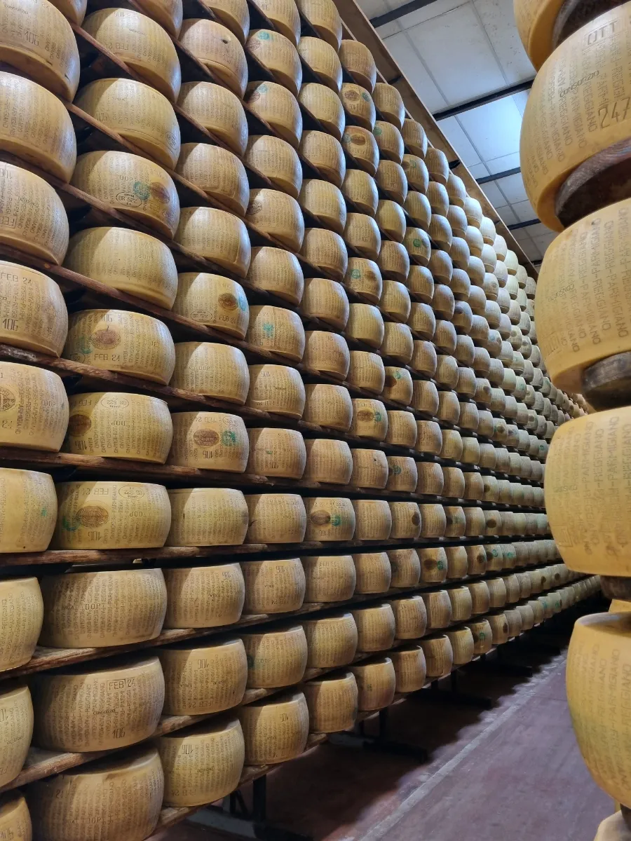 parmesan cheese wheels
