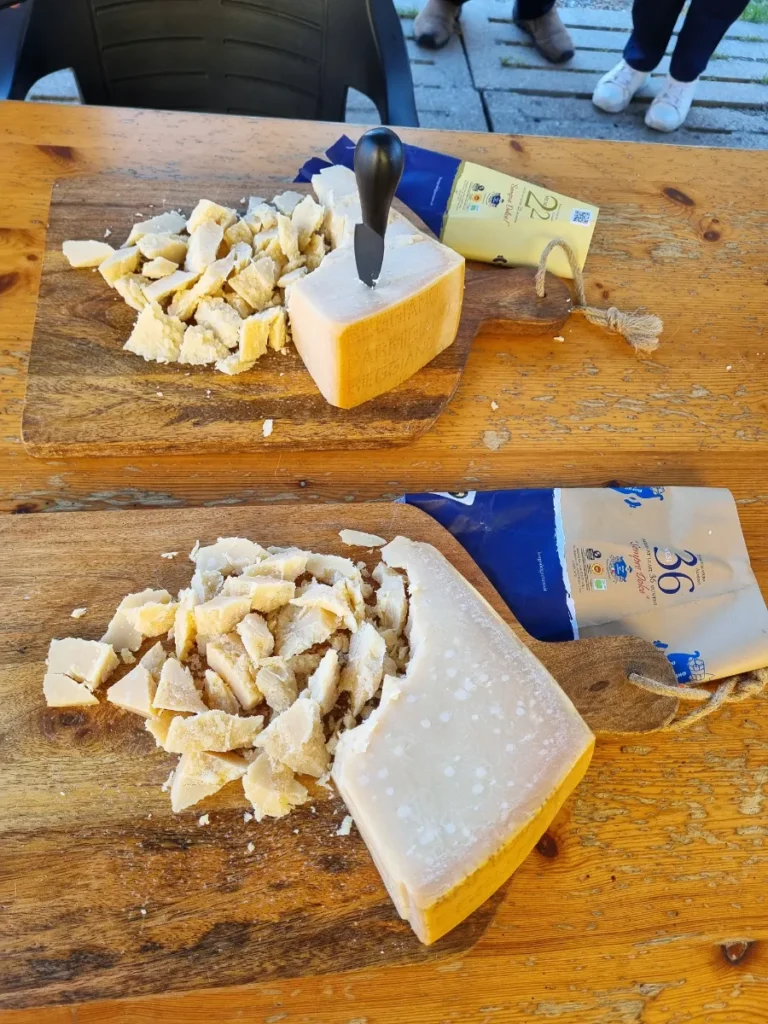 Parmesan tasting